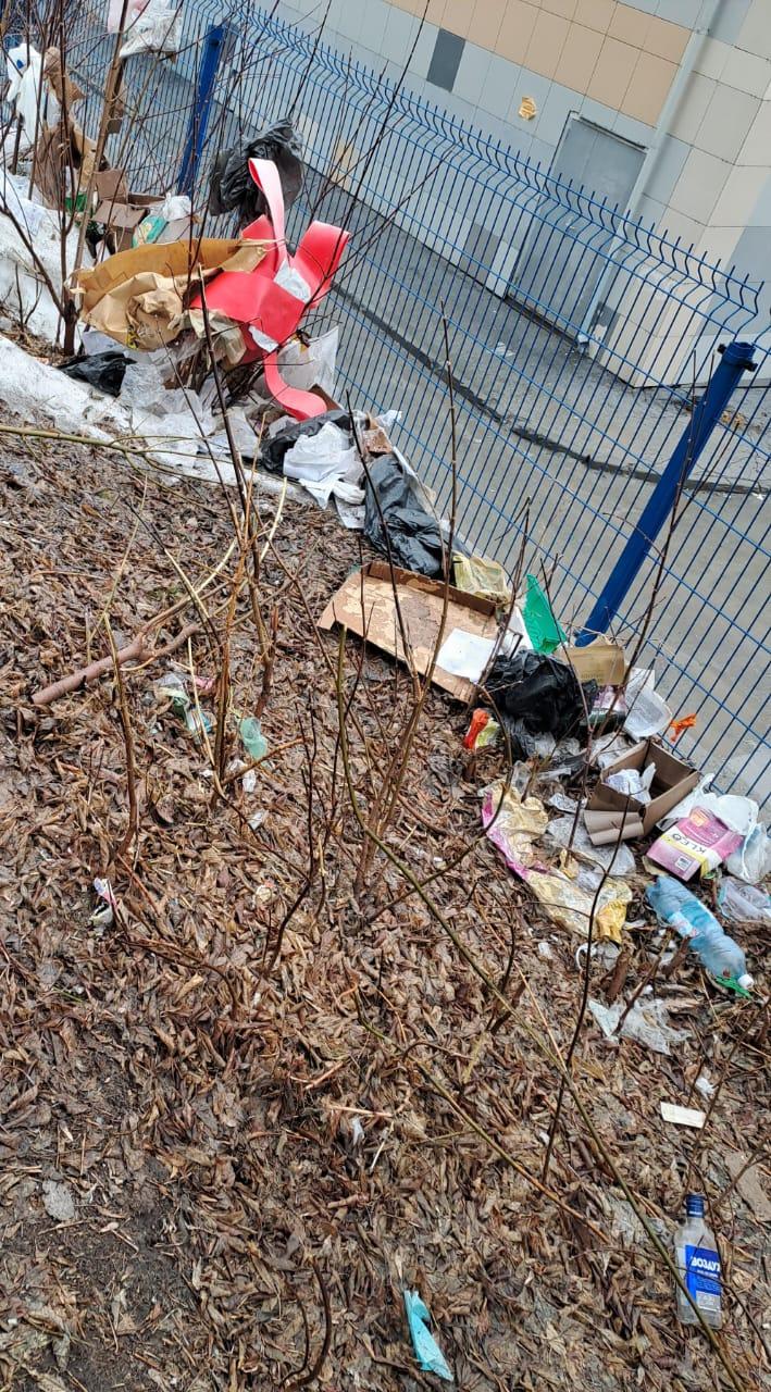 Фото «Город-помойка»? Новосибирцы возмущаются из-за гор мусора в мегаполисе. Фоторепортаж 11